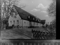 56479 W5439 Rehe GLASNEGATIV