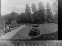 59929 W5790 Alme GLASNEGATIV Park