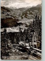 3874 Litschau Foto AK Bergbahn Golmerbahn Foto Risch-Lau