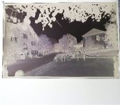 56841 W5580 Wolf , Mosel Kunststoff-Negativ / Dia-Positiv KEINE AK