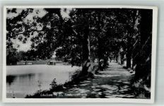3874 Litschau 1942 Foto AK Teichpromenade