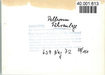 25845 W2251 Pellworm FOTO KEINE AK Fähranlage