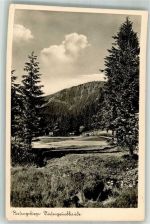 Pec pod Snezkou Petzer Foto AK Riesengebirge Riesengrundbaude