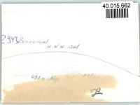26427 W2943 Bensersiel FOTO KEINE AK MMW Bad