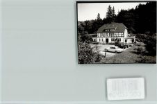 37603 W3450 Fohlenplacken FOTO KEINE AK Alte Mühle