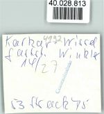 47546 W4192 Wissel FOTO KEINE AK Gasth. Winkler Innenaufnahme