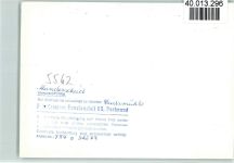 54531 W5562 Manderscheid , Eifel FOTO KEINE AK Heidsmühle Blick von der Gartenterrasse