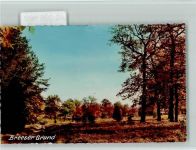 29473 W3139 Göhrde FOTO KEINE AK Breeser Grund