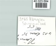 31311 W3165 Hänigsen FOTO KEINE AK Freibad Sprungturm