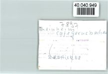 79790 W7897 Rheinheim , Hochrhein FOTO KEINE AK Cafe Gernsbacher