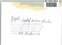 24848 W2381 Jagel b Schleswig FOTO KEINE AK Hotel zum Norden Innenaufnahme