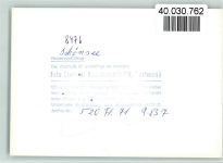 92539 W8476 Schönsee FOTO KEINE AK Luftaufnahme