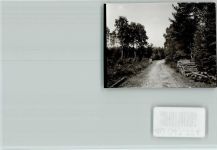 26169 W2908 Thülsfelde FOTO KEINE AK Wanderweg