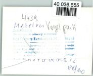48629 W4439 Metelen FOTO KEINE AK Vogelpark