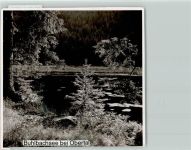72270 W7292 Obertal , Kr Freudenstadt FOTO KEINE AK Buhlbachsee