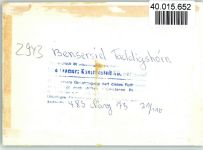 26427 W2943 Bensersiel FOTO KEINE AK InnenaufnahmeTaddigshörn