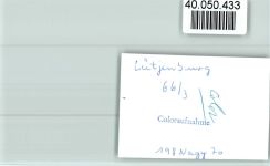 24321 W2322 Lütjenburg , Holst FOTO KEINE AK Altar