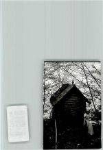 32756 W4930 Berlebeck FOTO KEINE AK Märchenwald