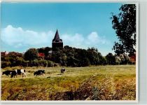 25836 W2256 Garding FOTO KEINE AK Kühe