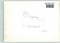 25836 W2256 Garding FOTO KEINE AK Kühe