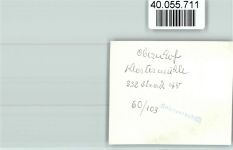 56379 W5409 Obernhof , Lahn FOTO KEINE AK Ortsansicht