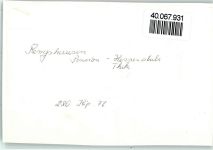 34593 W3589 Rengshausen , Hess FOTO KEINE AK Pension Hessenstube, Theke