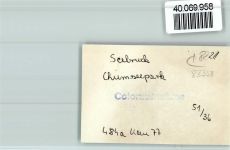 83358 W8221 Seebruck , Chiemsee FOTO KEINE AK Chiemseepark
