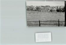32683 W4924 Barntrup FOTO KEINE AK Kuhweiden