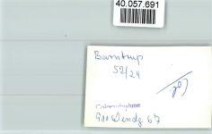 32683 W4924 Barntrup FOTO KEINE AK Kuhweiden