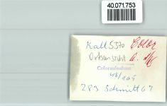 53925 W5370 Kall FOTO KEINE AK Ortsansicht