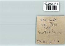 79429 W7841 Marzell FOTO KEINE AK Gasthof Sonne