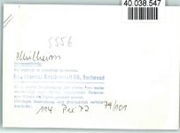 54486 W5556 Mülheim (Mosel) FOTO KEINE AK Hallenschwimmbad