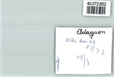 31832 W3213 Eldagsen , Deister FOTO KEINE AK Gasthaus