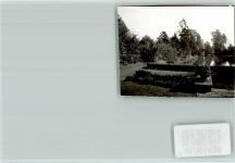 37186 W3413 Moringen FOTO KEINE AK See