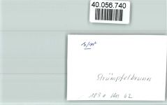 69429 W6935 Strümpfelbrunn FOTO KEINE AK Ortsansicht
