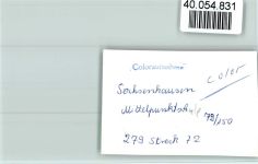 34513 W3544 Sachsenhausen , Waldeck FOTO KEINE AK Mittelpunktschule