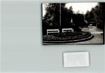 32791 W4937 Hörste , Lippe FOTO KEINE AK Kurpark