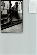 69483 W6948 Wald-Michelbach FOTO KEINE AK Rathausbrunnen