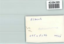 79215 W7807 Elzach FOTO KEINE AK