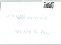 24326 W2323 Dersau , Kr Plön FOTO KEINE AK Hotel Waldblick Innenaufnahme Gastraum