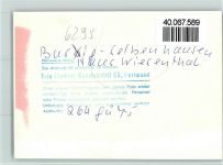 35799 W6295 Barig-Selbenhausen FOTO KEINE AK Haus Wiesenthal