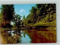 37642 W3451 Holenberg FOTO KEINE AK Weiher