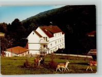 32689 W4925 Hohenhausen , Lippe FOTO KEINE AK Kurhaus Kalletal-Mühle mit Tierpark Rehe
