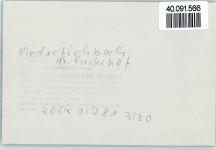 57572 W5241 Niederfischbach FOTO KEINE AK Hotel Fuchshof