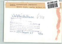 55596 W6558 Waldböckelheim FOTO KEINE AK Kurmainzer Faktorei