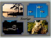 Abendstimmung Flaggen Elch Motiv Schweden Foto AK