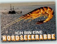 Ich bin eine Nordseekrabbe Fisch