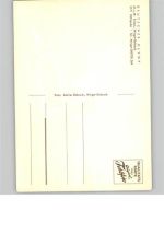 21789 W2177 Wingst