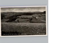79868 W7828 Altglashütten , Schwarzw