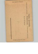 Brauner Bär Schmetterling